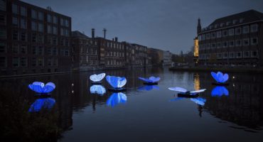 Amsterdam Light Festival -Butterfly Effect - Masamichi Shimada